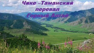 Путешествие по Горному Алтаю. Чике - Таманский перевал.