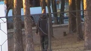 Где ты моя черноглазая, где в Вологде-где-где, ой...