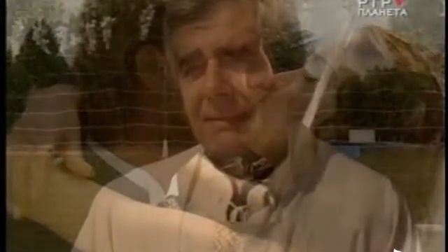 angel смотреть онлайн