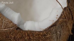 Самые Опасные Деревья, Которые Нельзя Трогать!?