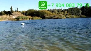 Прикормочный Кораблик "Хаски" тест при сильном ветре!