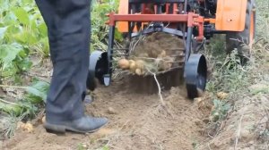 Картофелекопалка Кентавр КТ 3 в работе с мотоблоком (cut)