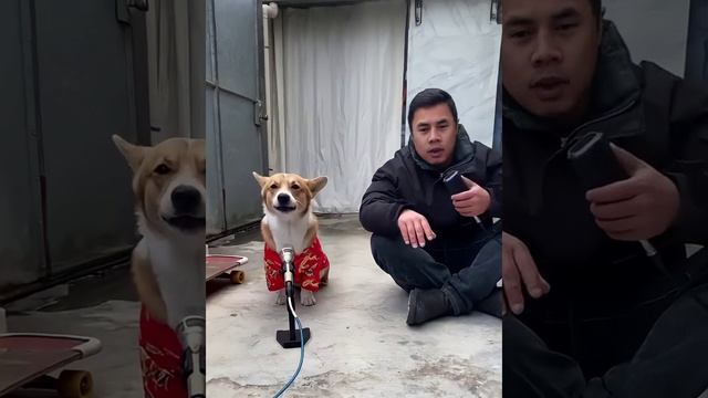 1000002478.mp4 смотреть онлайн