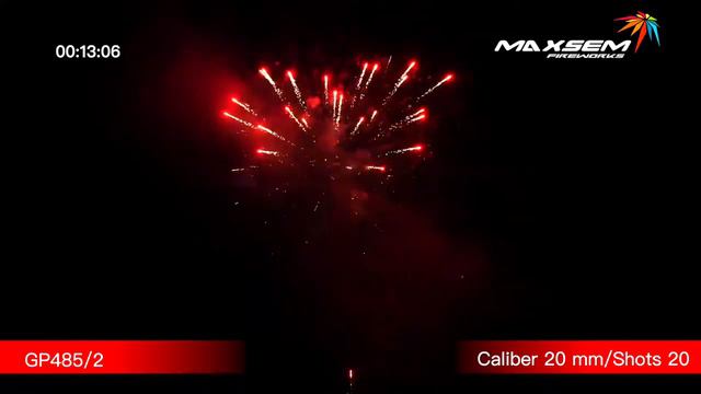 Фейерверк FINE VIEW (0,8"x20) GP485/2 смотреть онлайн