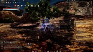 Black Desert неплохое место для сбора бузины