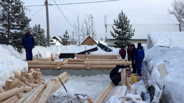 Этап начала сборки бани из оцилиндрованного бревна смотреть онлайн