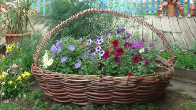 Красивые клумбы своими руками - клумбы корзины. Идеи, фото красивых клумб корзин