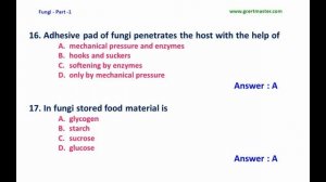 Biology   Fungi   Part 1