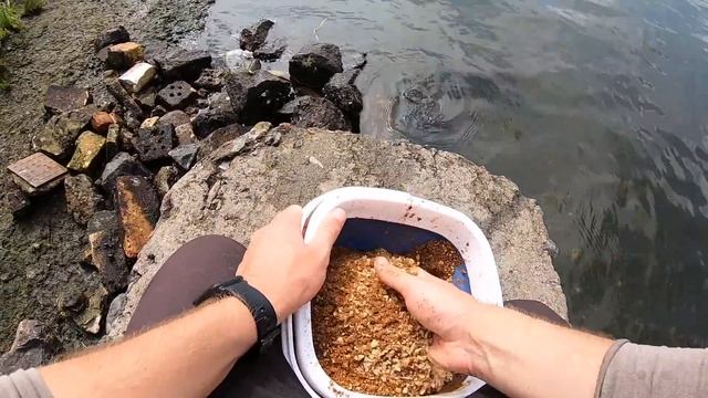 Ловля леща на Днепре в Киеве / Фидерная Ловля белой рыбы в августе смотреть онлайн