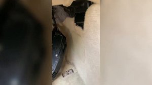 Снимаем педаль газа infiniti fx
