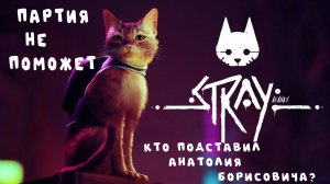 Политика - Грязное Дело. Анатолий Борисович в курсе. Stray.