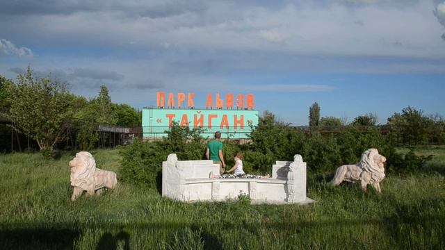Сафари парк львов Тайган