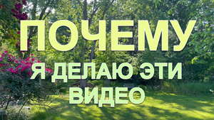 Зачем я это делаю?..