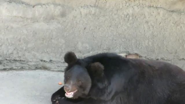 УЗБЕКИСТАН. ЖИЗНЬ ЛЮДЕЙ В СТРАНЕ BroniSSimO uzbekistan tashkent