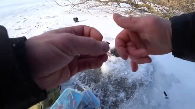 Астрахань, рай для рыбака! Полосатые тигры рвут лески! Окунь#Астрахань#Рыбалка