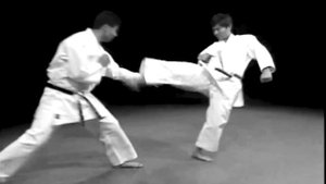 ВАДО-РЮ КАРАТЭ. Кто создал и как возник стиль Вадо-рю каратэ. Боевые искусства мира