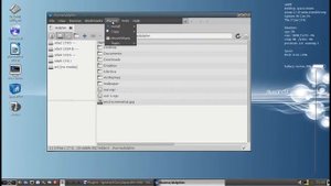 AntiX 13 - Browsing and Mounting Samba/Windows shares with SpaceFM