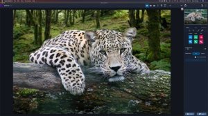 PHOTOSHOP/TOPAZ LABS: (Full Edit Tutorial)