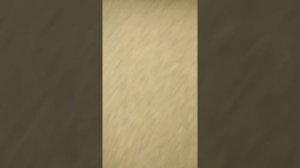 Семена ДОННИКА очищенные