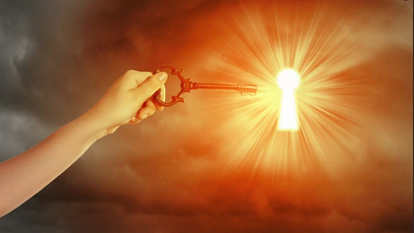 Купить "Жизненные циклы"