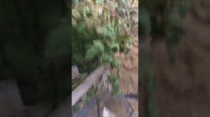 Самый правильный бензонасос 4216