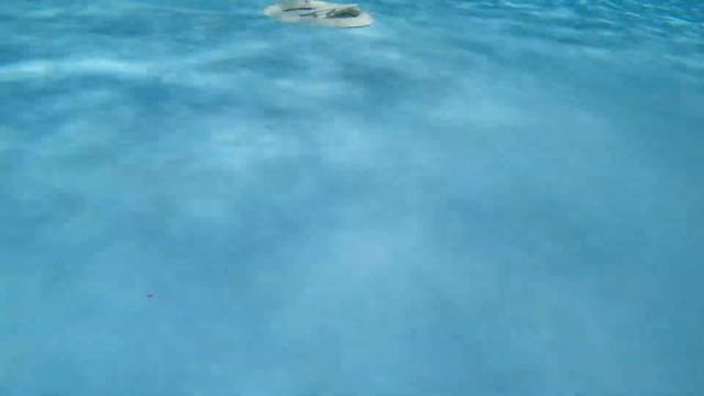 Запорожье обстановка в городе,закрывая лето 30.08.2022 смотреть онлайн