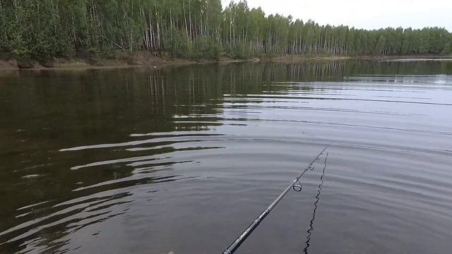 Рыбалка на топвотеры. Первые 