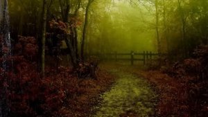 Bruit de Pluie et Musique pour Dormir - Se Détendre