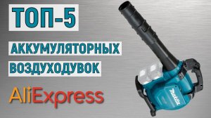 ТОП-5 аккумуляторных воздуходувок с AliExpress 2023. Рейтинг