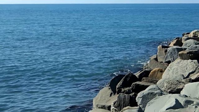 Francesco da Milano Fantasia №4 - Lute music in the performance on the wind instruments смотреть онлайн