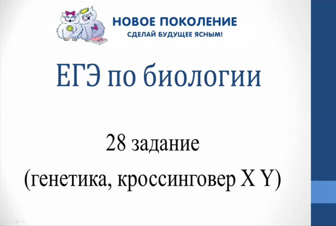 Биология. Разбор 28 задач ЕГЭ по биологии на кроссинговер (сцепление с X и Y)