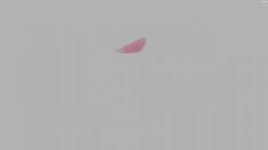 Аниме Бизнесмен влюбляется в обычную школьницу Все серии 1-12