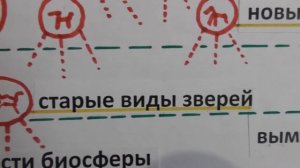А. Белов: Инволюция: многократное превращение людей в зверей
