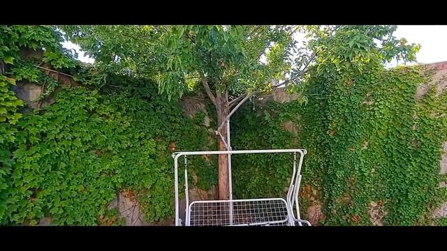 Прекрасный дом в Сочи за 35 млн рублей с отличным участком и бассейном!!! смотреть онлайн