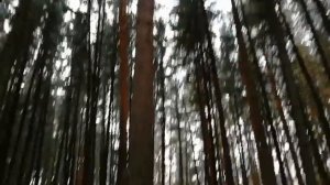 Зимний Вагай северный