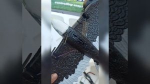 Орёл-самолёт на радиоуправлении.