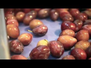 Производство чернослива