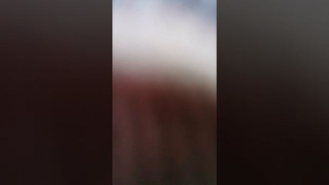 #рыбалка#отдых Поймал отпусти! смотреть онлайн