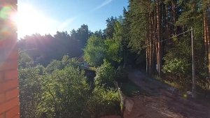 ЗАЩИТА НА ДУБ. ДЛЯ ВСЕЙ СЕМЬИ. СИЛЬНЫЙ РИТУАЛ. ДЛЯ ВСЕХ.  ВЕДЬМИНА ИЗБА  ▶️  ИНГА ХОСРОЕВА