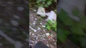 Обзор на заброшку где живут бомжи