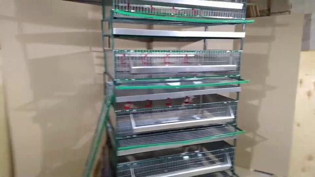 Обзор/Купить мини ферму для перепелов "Профи-Любимая" интернет магазин - Большой фермер смотреть онлайн