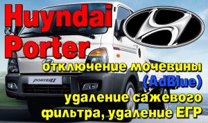 Hyundai Porter: отключение мочевины (AdBlue), удаление сажевого фильтра (DPF), отключение клапана ЕГ