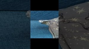 VID_20220731_095931.mp4