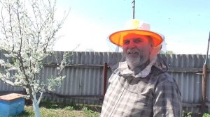 300 СЕМЕЙ ПЕРЕД ПРОДАЖЕЙ / ПЧЕЛОВОДСТВО В УЛЬЯХ / 2 ЧАСТЬ.