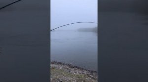 Камчатка 17 июня 2018 река Колпакова