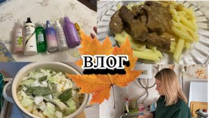 VLOG: сколько ЗАРАБАТЫВАЕМ/маринованная КАПУСТА И ПЕЧЕНЬ/нет ДЕТЕЙ - НЕТ СЕМЬИ