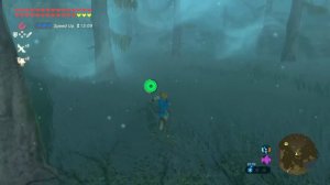 Zelda Breath of the Wild - Korok Mask Location
