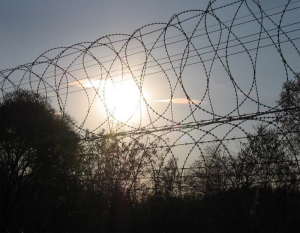 ”Это мой город”