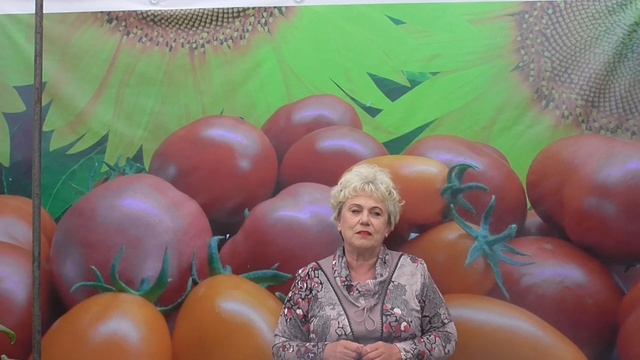 НУЖНО ЛИ СНИМАТЬ ЗЕЛЕНЫЕ ТОМАТЫ? Ольга Чернова. смотреть онлайн
