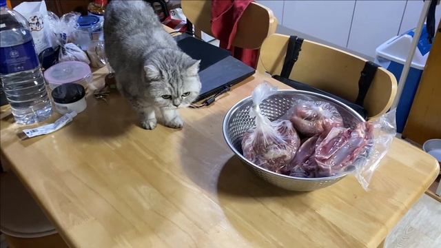 Красимся. Спорим. Жрём/Самые красивые волосы!/HOME KOREA VLOG